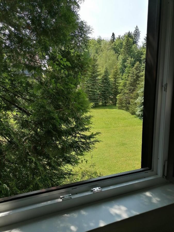 Ferienwohnung Haus Aschau Bad Ischl Exterior foto