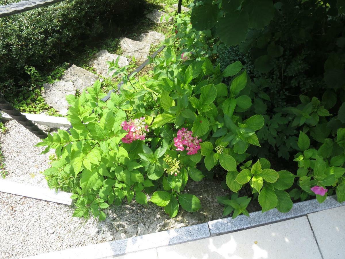 Ferienwohnung Haus Aschau Bad Ischl Exterior foto
